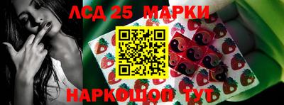 СК Будённовск