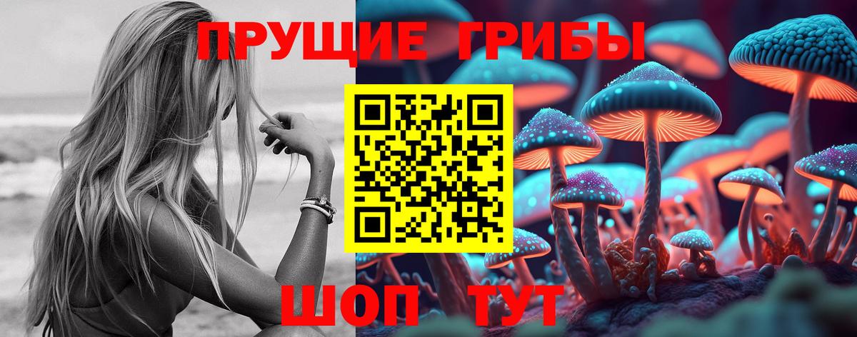 Галлюциногенные грибы Cubensis Комсомольск-на-Амуре