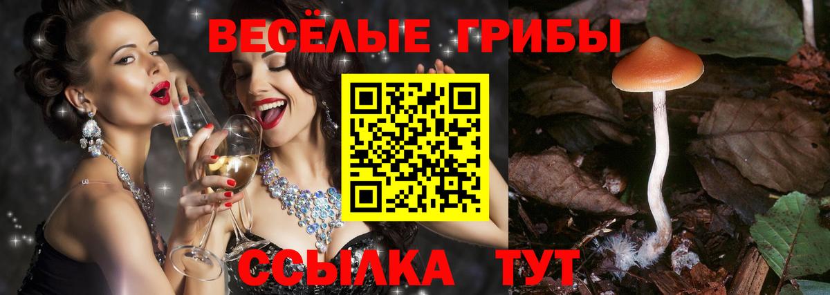 Комсомольск-на-Амуре  Псилоцибиновые грибы ЛСД  что такое наркотик  Вход с VPN 